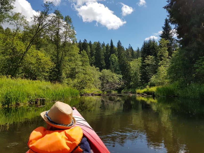 From Riga: Full-Day Scenic Gauja River Valley Kayaking Trip - Booking details worth keeping in mind