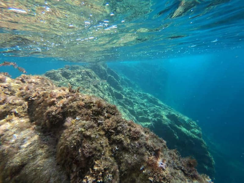 From Sant Feliu de Guíxols: Kayak and Snorkel in Costa Brava - Snorkeling in a sheltered cove