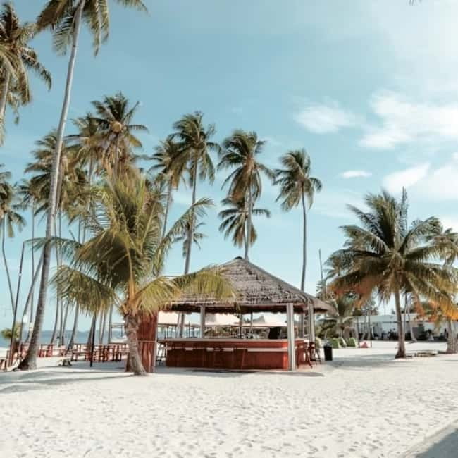 From Singapore : Private Batam Island Snorkeling and Canoe - Timing, comfort, and what to pack