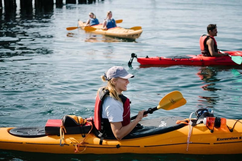 From Svolvær: Lofoten Guided Kayak Experience - Key points for your Svolvær paddle