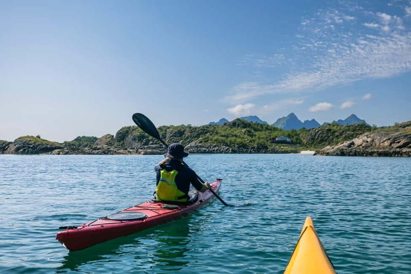 From Svolvær: Lofoten Guided Kayak Experience - Sea eagles and close wildlife views