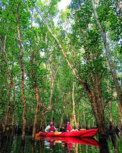 From Tagbilaran City/Panglao Island: Bohol Mangrove Kayaking - Food, changing rooms, and the end of the outing