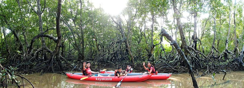 From Tagbilaran City/Panglao Island: Bohol Mangrove Kayaking - The drive from Panglao or Tagbilaran