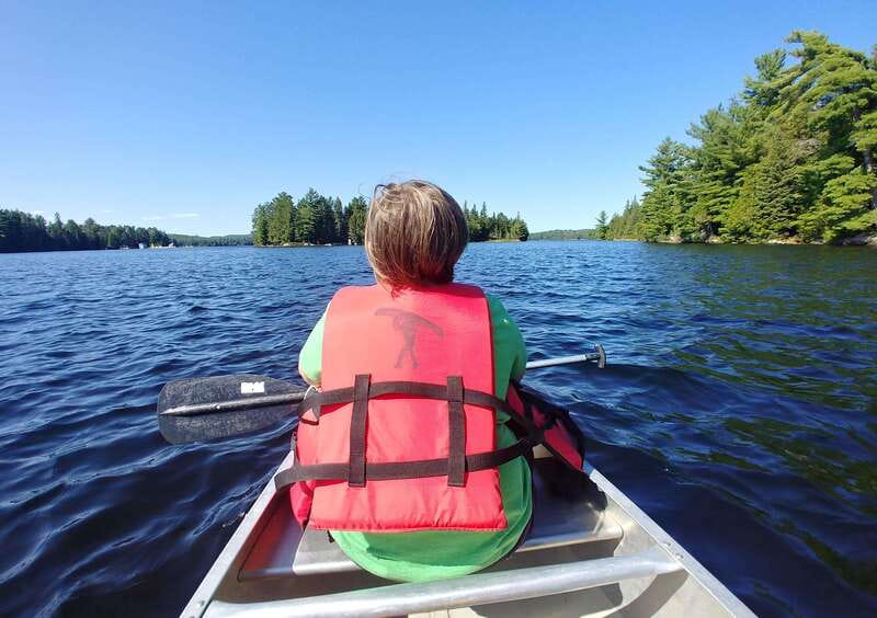From Toronto: Algonquin Park Canoeing & Hiking Adventure - Who should book this Algonquin outing