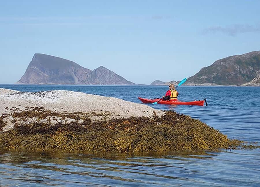 From Tromsø: Sea Kayaking Tour at Sommarøy - Is this Sommarøy kayaking tour worth it?