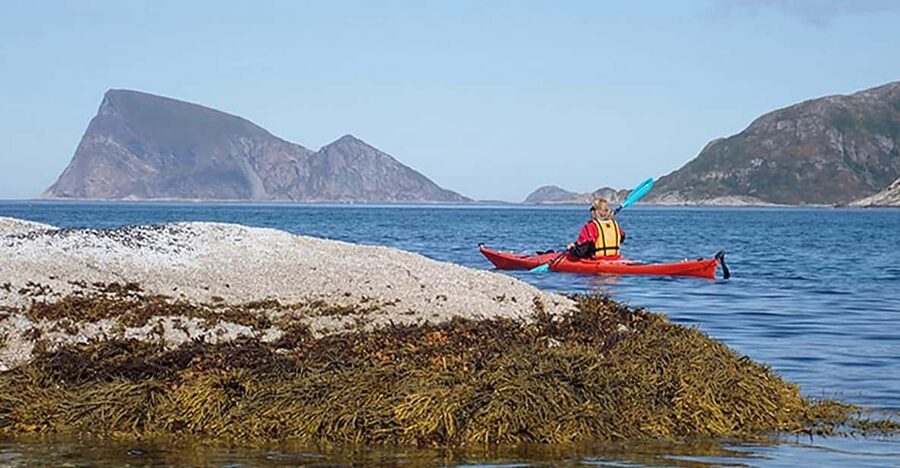 From Tromsø: Sea Kayaking Tour at Sommarøy - Practical planning before you reserve