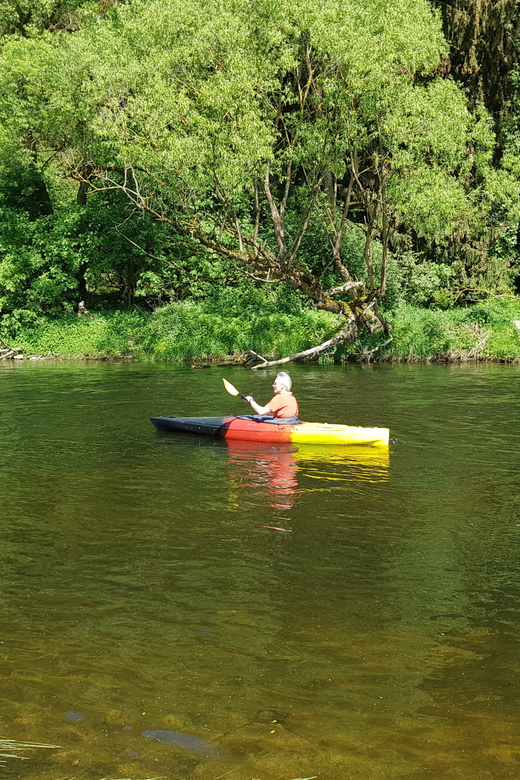From Viechtach: Regen River Canoe Tour to Höllensteinsee - The Schwarzer Regen from water level