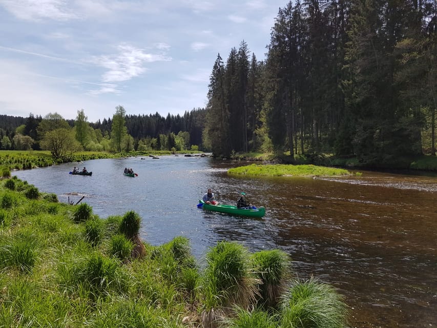 From Viechtach: Regen River Canoe Tour to Höllensteinsee - Who will enjoy this river trip most