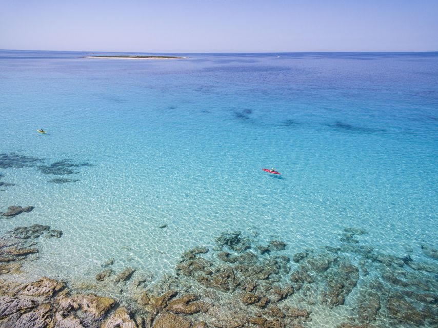 From Zadar: Dugi Otok Half-Day Kayak Adventure - Key points to know before you book