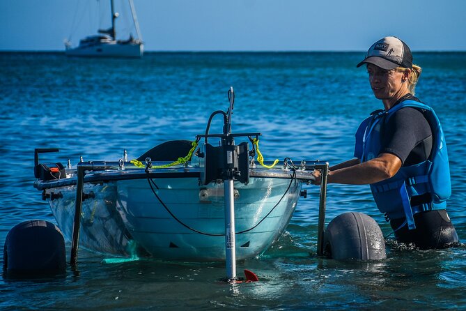 Fuerteventura: Transparent Electric Kayaks with Guide - Key points to know before you book