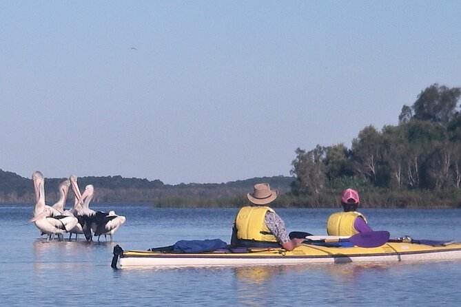 Full-Day Guided Noosa Everglades Kayak Tour - Starting at Boreen Point at 8:30 am