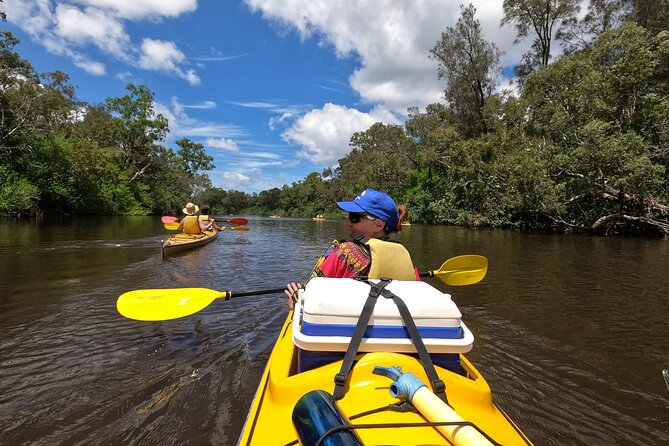 Full-Day Guided Noosa Everglades Kayak Tour - A swim in clear water and lunch by the river