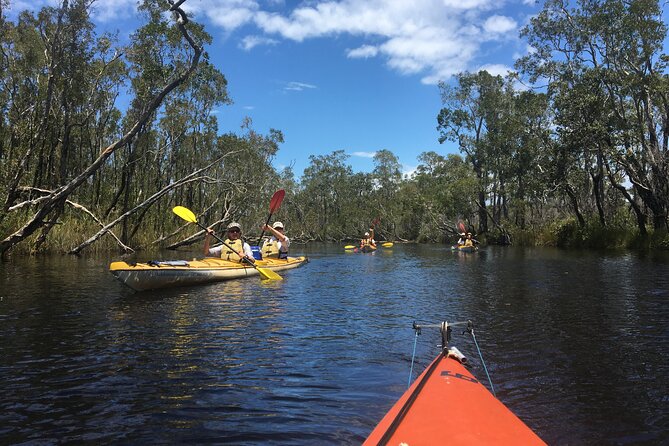 Full-Day Guided Noosa Everglades Kayak Tour - What to wear and carry for a wet day
