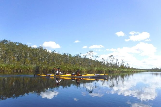 Full-Day Guided Noosa Everglades Kayak Tour - Is $149.90 good value?
