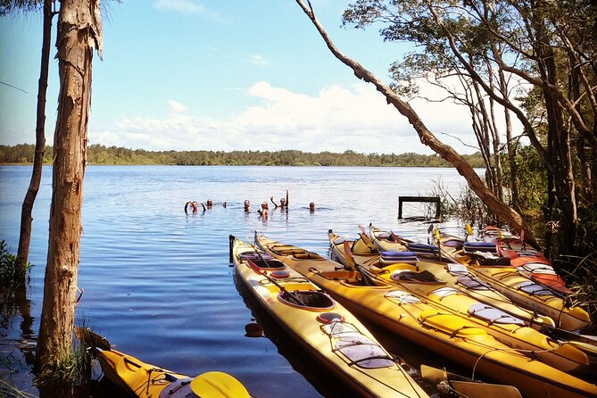Full-Day Guided Noosa Everglades Kayak Tour - Who will enjoy this tour most