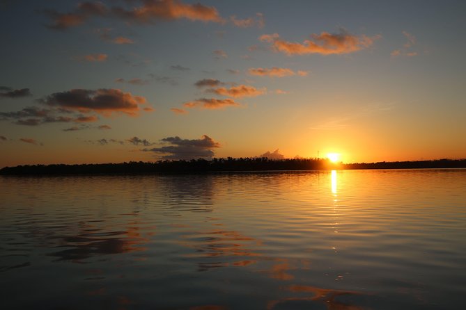 Full-Day Kayak Adventure in the Everglades - Guides who add meaning to the scenery