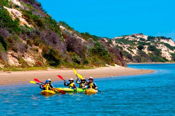 Full Day Kayaking Tour in Coorong National Park - Key points to know before booking