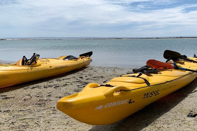 Full Day Kayaking Tour in Coorong National Park - Crossing the dunes at Young Husband Peninsula