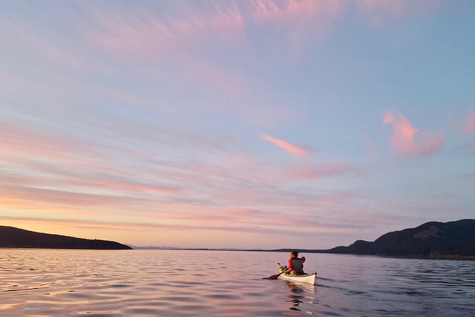 Full Day San Juan Island Kayaking Adventure - What $126.65 gets you