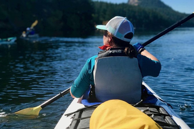 Full Day San Juan Island Kayaking Adventure - Meeting in Friday Harbor