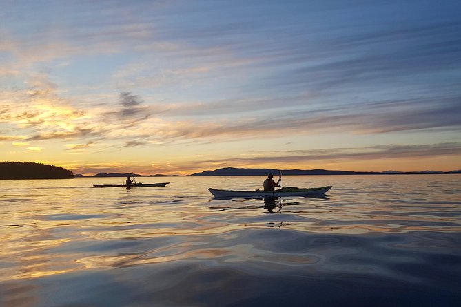 Full Day San Juan Island Kayaking Adventure - Lime Kiln Point State Park and its orca connection