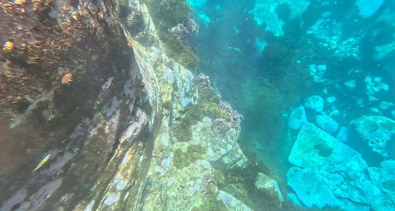 Funchal: Kayak and Snorkel Tour to Garajau NR - From the Cristiano Ronaldo statue to open water