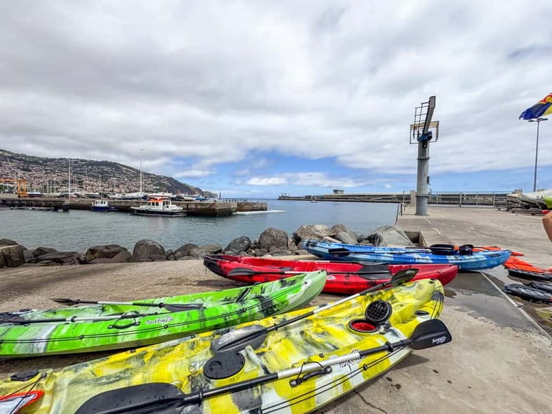 Funchal: Kayak and Snorkel Tour to Garajau NR - Who will enjoy this tour most