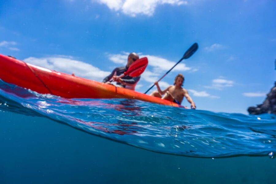 Funchal: KAYAK Rental or Guided tour with snorkeling - Key points to know before booking