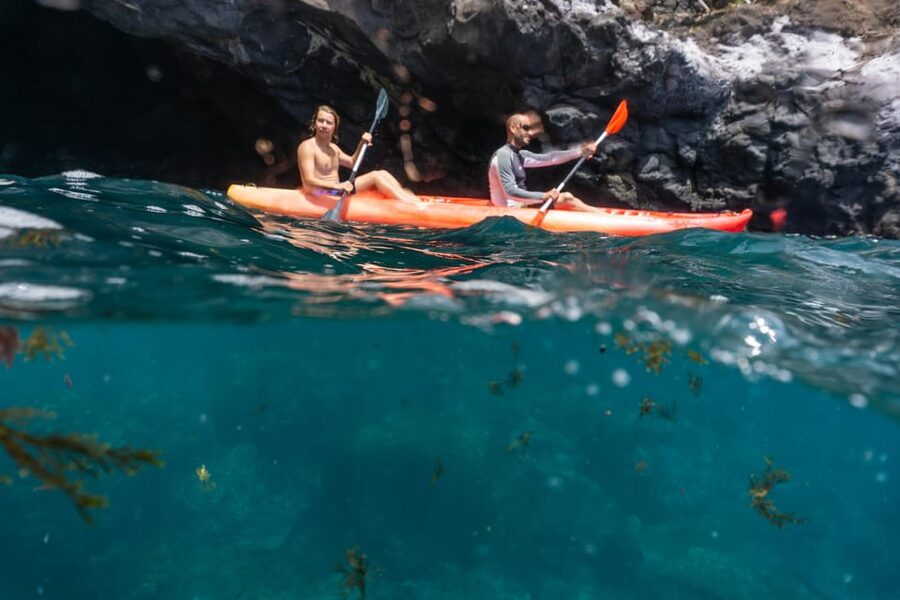 Funchal: KAYAK Rental or Guided tour with snorkeling - Starting at the Pestana Carlton