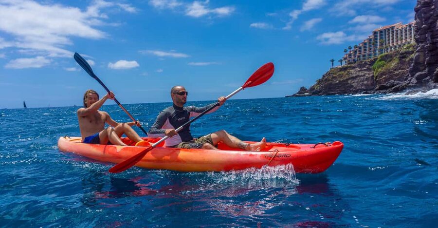 Funchal: KAYAK Rental or Guided tour with snorkeling - Who will enjoy it most