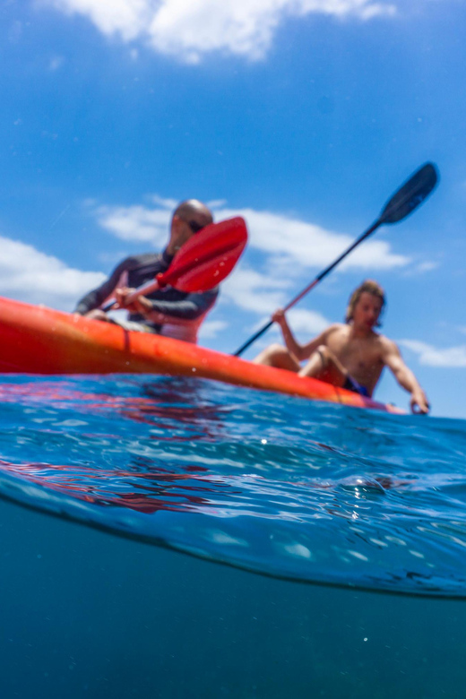 Funchal: KAYAK Rental or Guided tour with snorkeling - My take: book it if you want simple, active fun