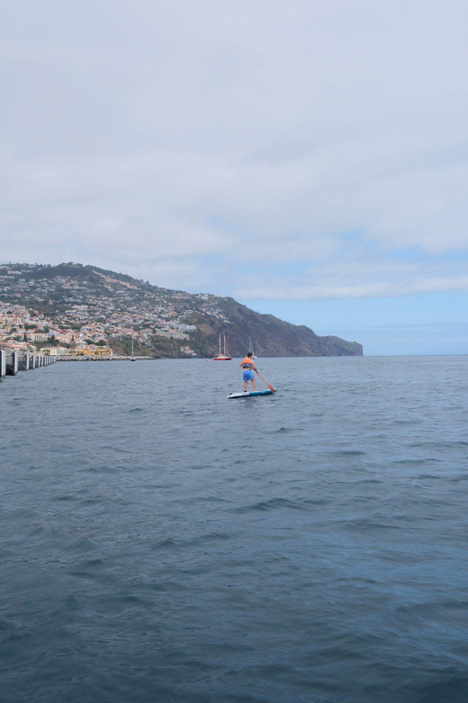 Funchal: Standup Paddle - What to Bring and What to Watch For