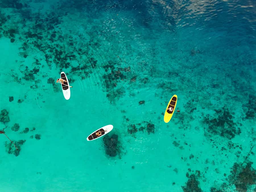 Gili Trawangan: Stand-Up Paddle with Drone Shot & Guide - What to bring and what to confirm