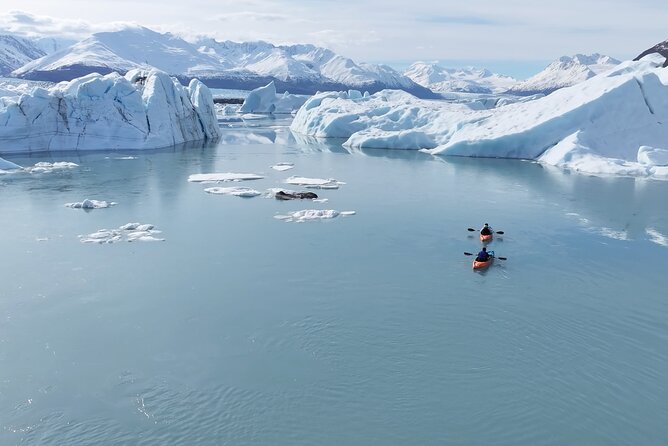 Glacier Blue Kayaking – Knik Glacier Day Tour from Anchorage - The Jim Creek trail adds genuine Alaska grit