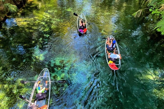 Glass Bottom Kayak Tours of Silver Springs - The five details worth knowing first