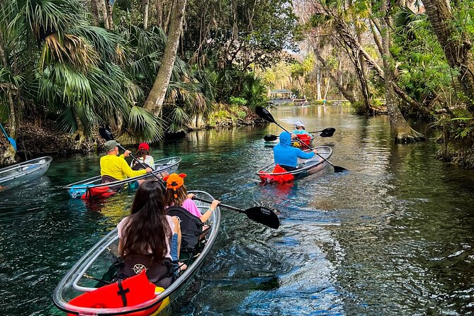 Glass Bottom Kayak Tours of Silver Springs - What the 90-minute paddle feels like