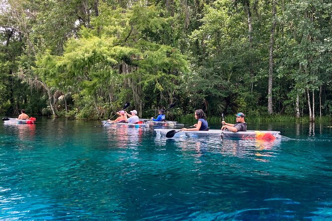 Glass Bottom Kayak Tours of Silver Springs - The guides are a major part of the value