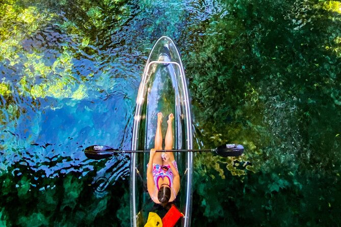 Glass Bottom Kayak Tours of Silver Springs - Timing, weather, and the no-show rule