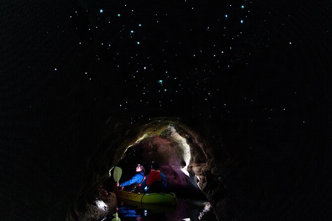Glow Worm Kayak Tour - Key points to know before booking