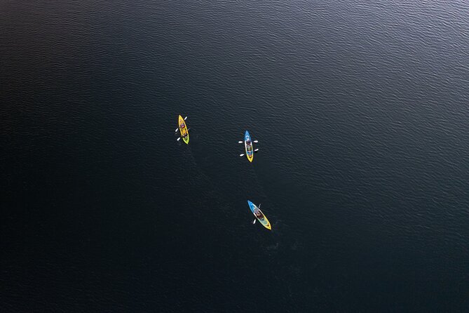 Glow Worm Kayak Tour - Who will enjoy this most