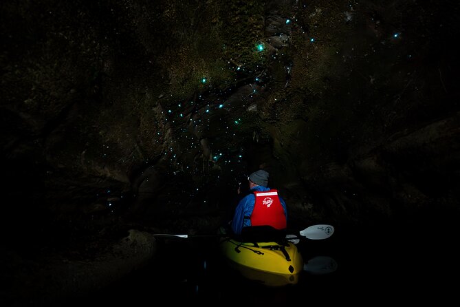 Glow Worm Kayak Tour - From Rotorua pickup to the lakeshore