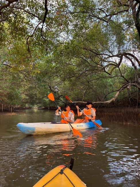 Goa: Backwater Kayaking Tour - Why the Chapora Backwaters Are Worth Your Time