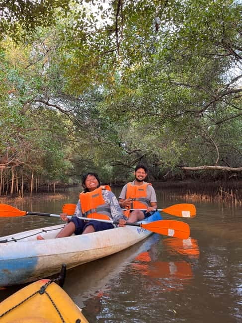 Goa: Backwater Kayaking Tour - Sunset, Birdlife, and the Best Time to Go
