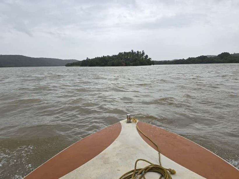 Goa: Backwater Kayaking Tour - Who Will Enjoy This Goa Kayak Trip