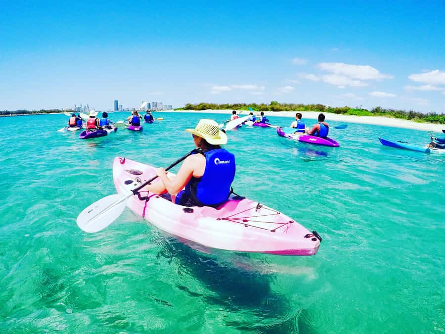Gold Coast: Kayaking and Snorkeling Guided Tour - Key points to know before booking