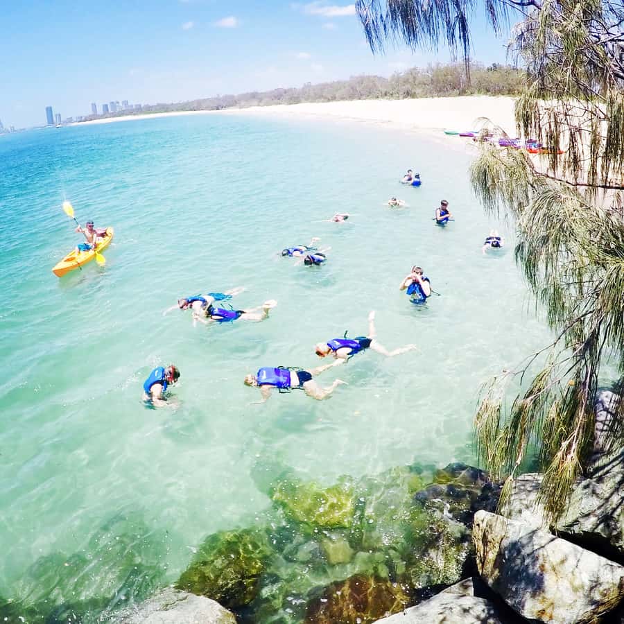 Gold Coast: Kayaking and Snorkeling Guided Tour - Getting comfortable in the kayak