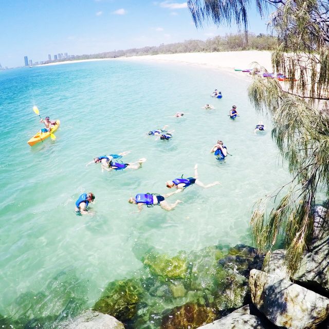 Gold Coast: Kayaking and Snorkeling Guided Tour - Reaching Wavebreak Island by kayak