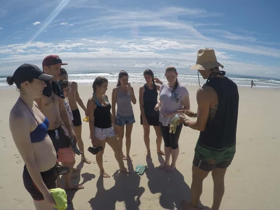 Gold Coast: Kayaking and Snorkeling Guided Tour - What $53 gets you
