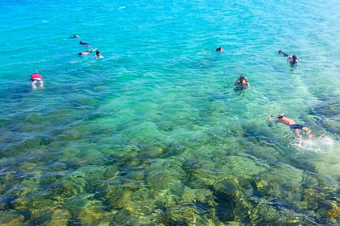 Gold Coast Kayaking & Snorkelling Tour (2.5 Hours) - Paddling across the Broadwater to Wave Break Island