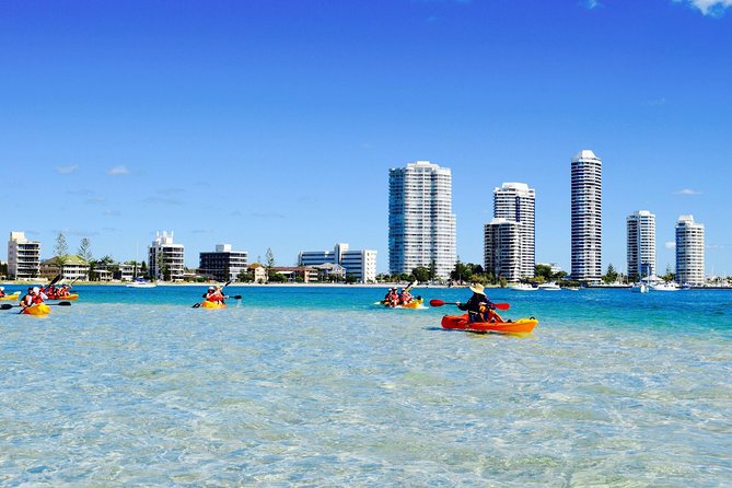 Gold Coast Kayaking & Snorkelling Tour (2.5 Hours) - Snorkeling among fish, rays, and changing water conditions